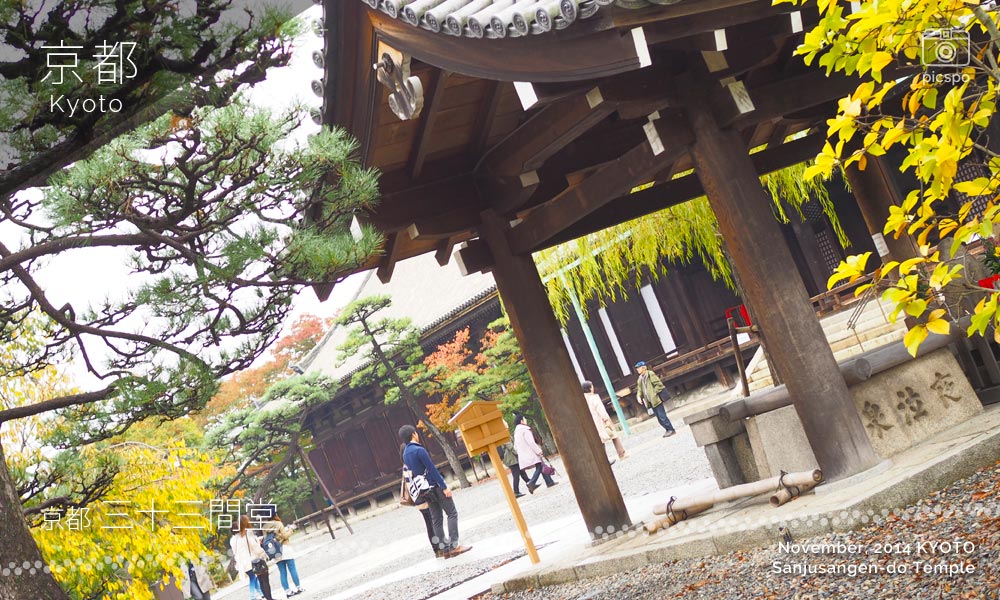 京都：三十三間堂の手水舎