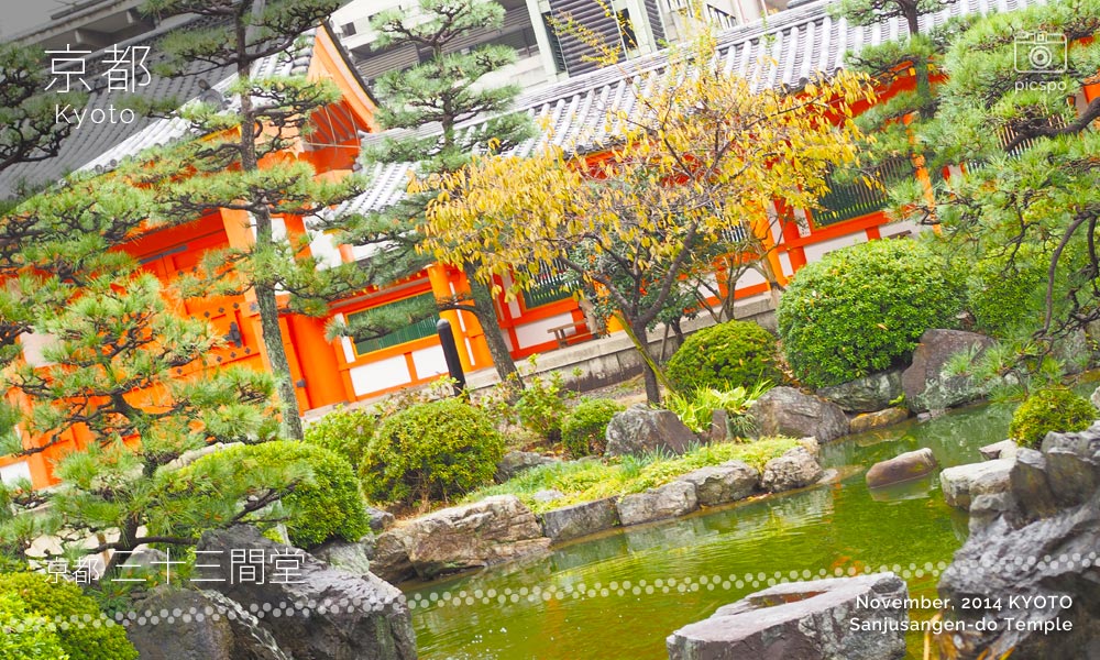 京都：三十三間堂の庭園
