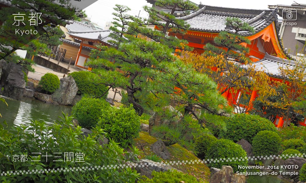 京都：三十三間堂の庭園