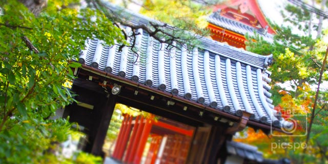 京都：妙心寺「退蔵院」