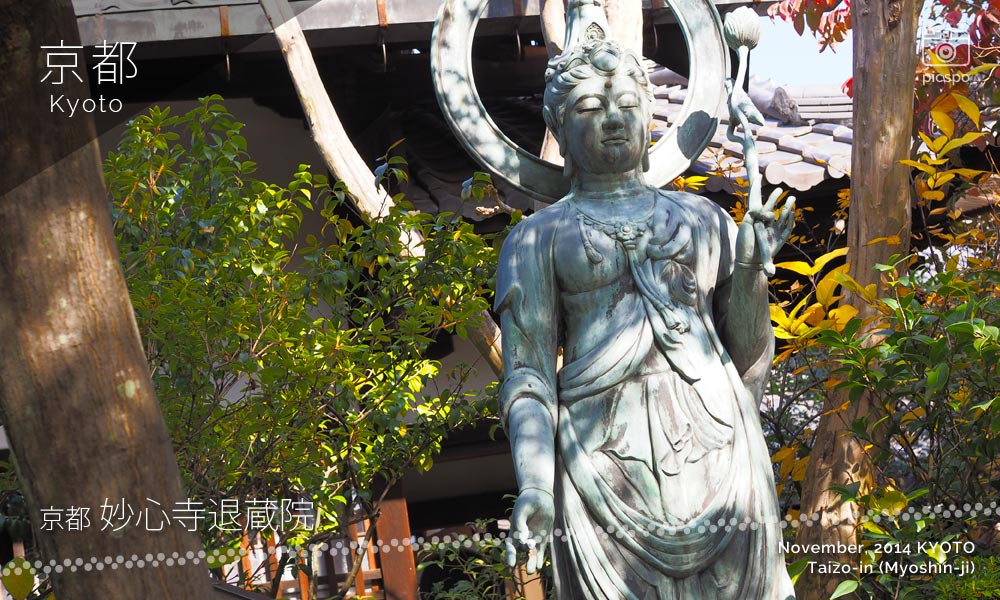 京都：妙心寺「退蔵院」の観世音菩薩像