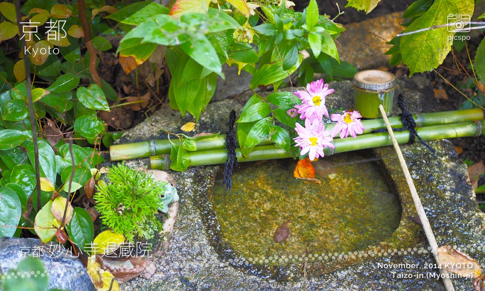 京都：妙心寺「退蔵院」の手水鉢