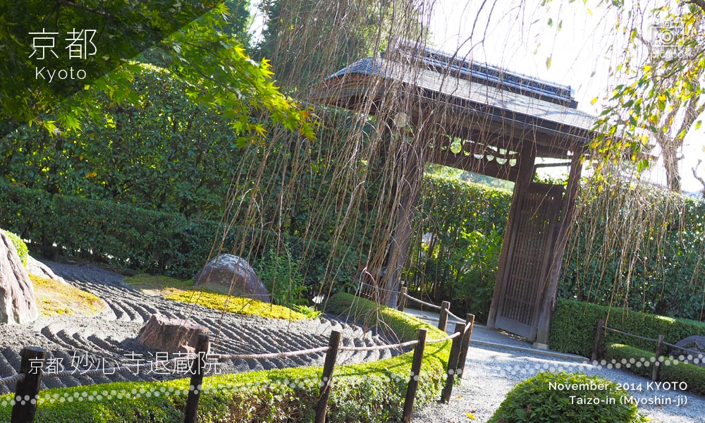 京都：妙心寺「退蔵院」の余香苑