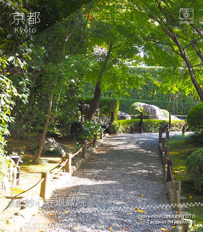 京都：妙心寺「退蔵院」