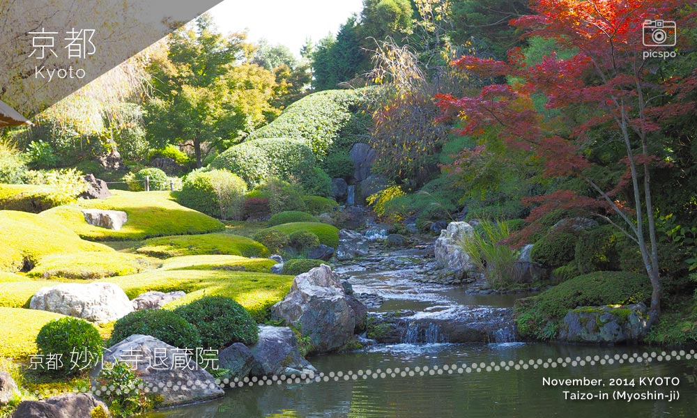 京都：妙心寺「退蔵院」の瓢箪池
