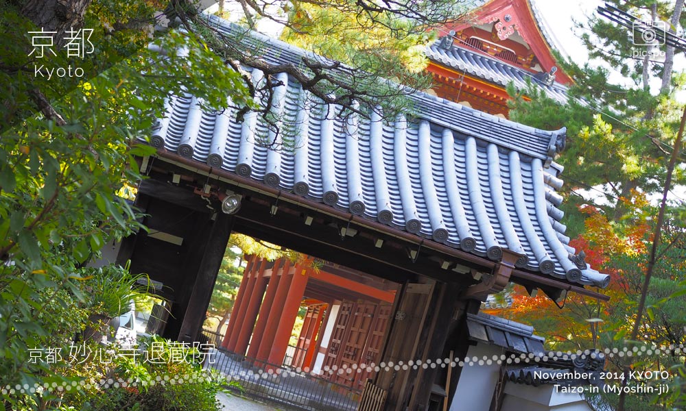 京都：妙心寺「退蔵院」の山門