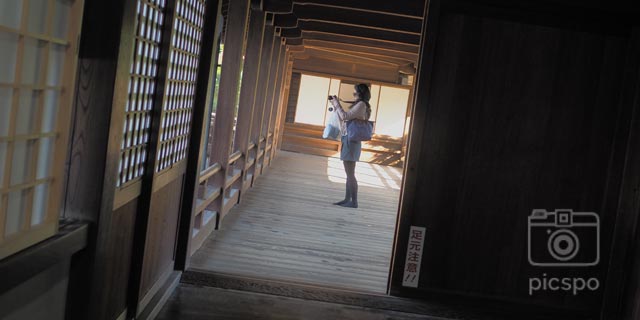 京都 東福寺（本坊庭園）