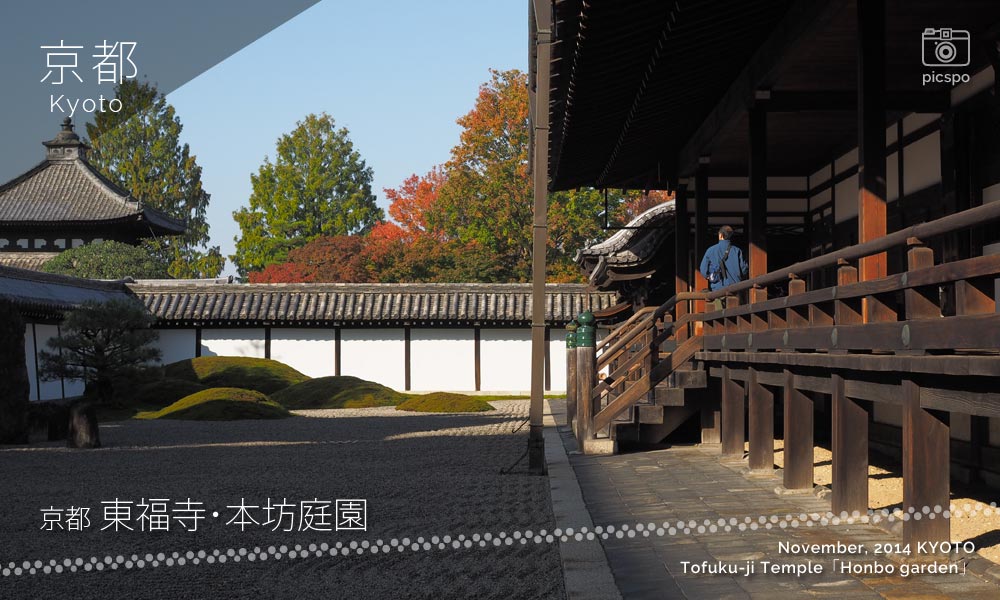 京都：東福寺･本坊庭園