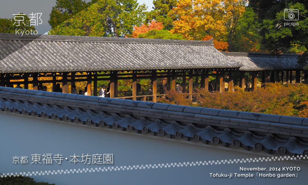 京都：東福寺･本坊庭園