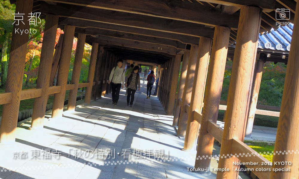 京都：東福寺の通天橋