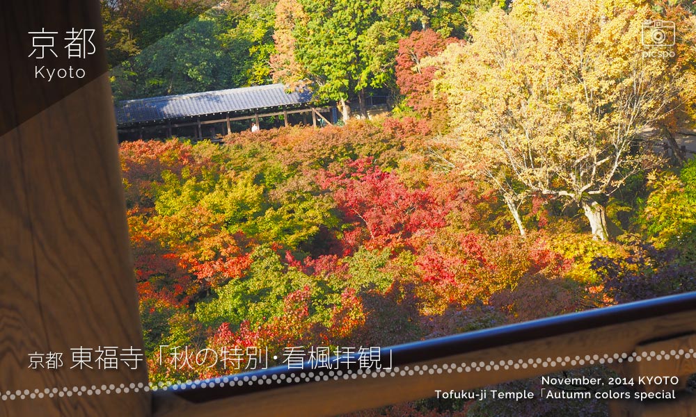 京都：東福寺の臥雲橋