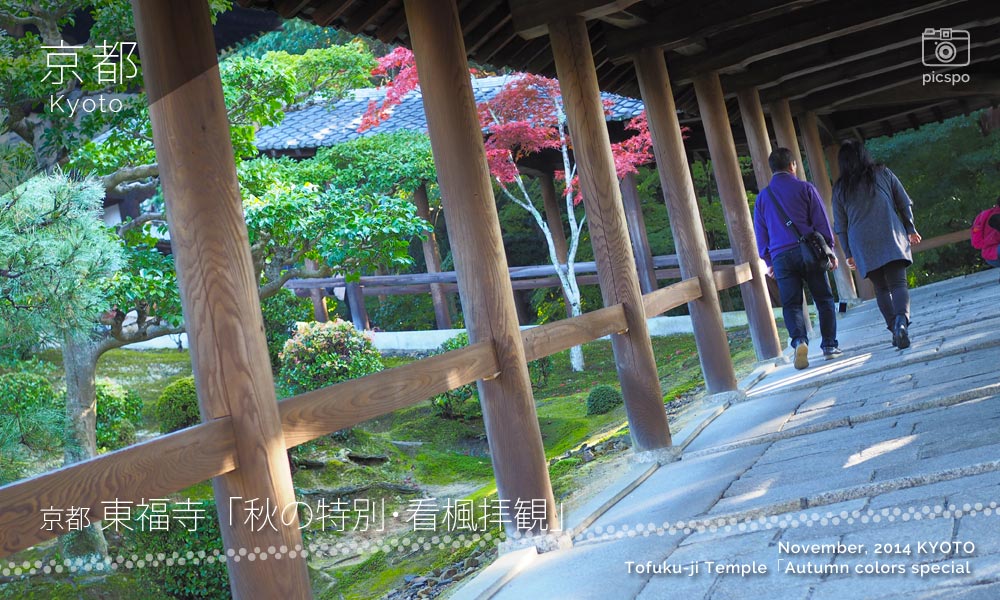 京都：東福寺の通天橋