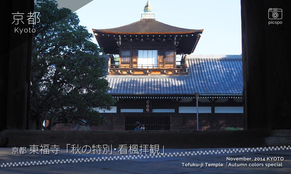 京都：東福寺の普門院 秋の特別･看楓拝観
