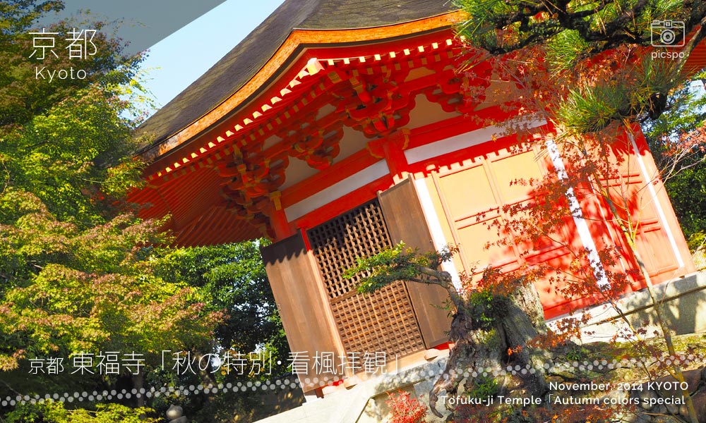 京都：東福寺の愛染堂 秋の特別･看楓拝観