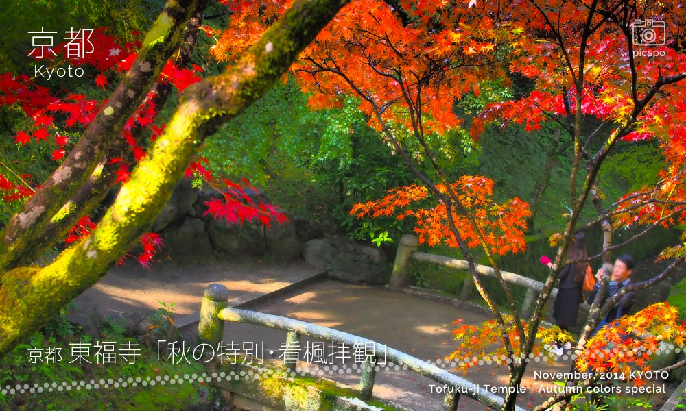 京都：東福寺の洗玉澗 秋の特別･看楓拝観