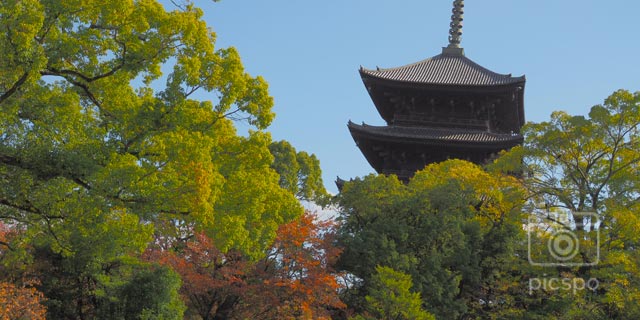 京都：東寺