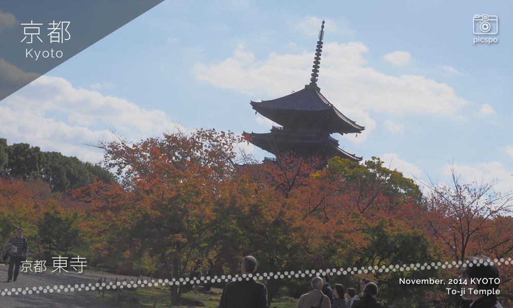 京都：東寺の五重塔