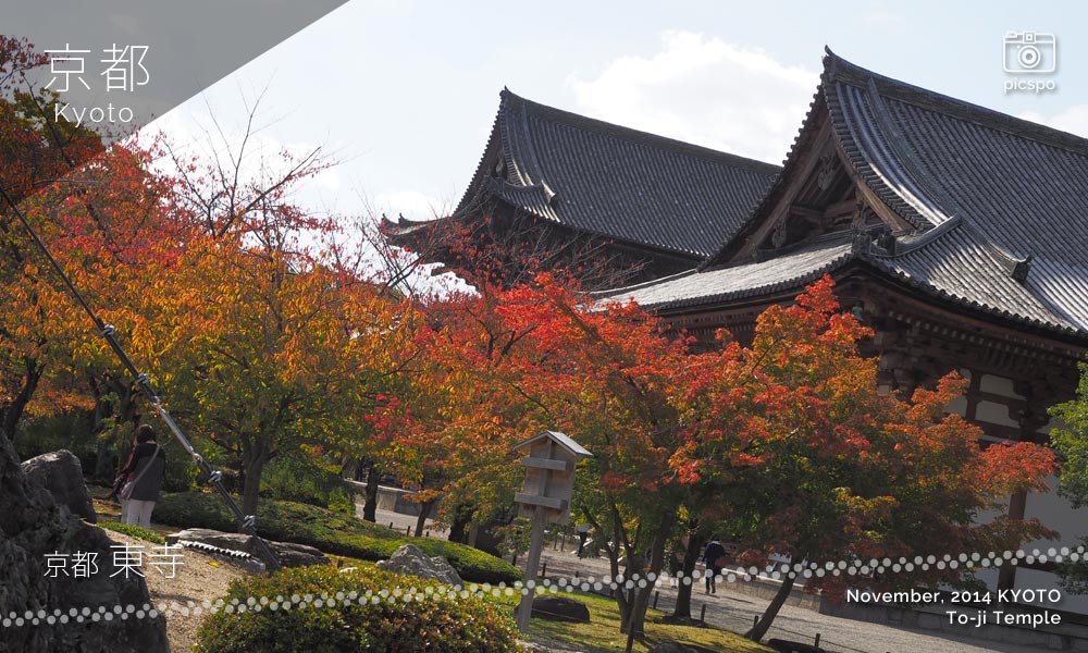 京都：東寺の金堂と講堂