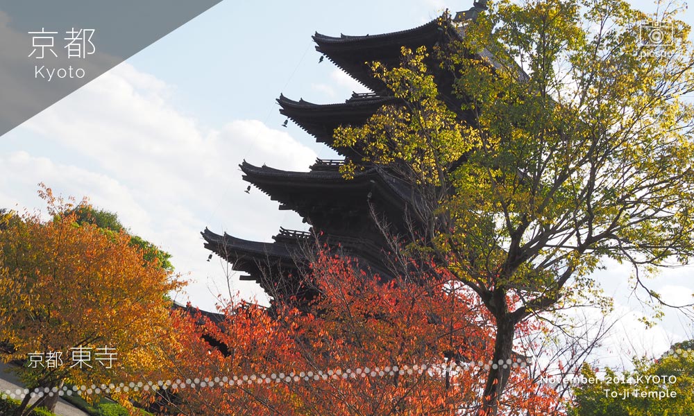京都：東寺の