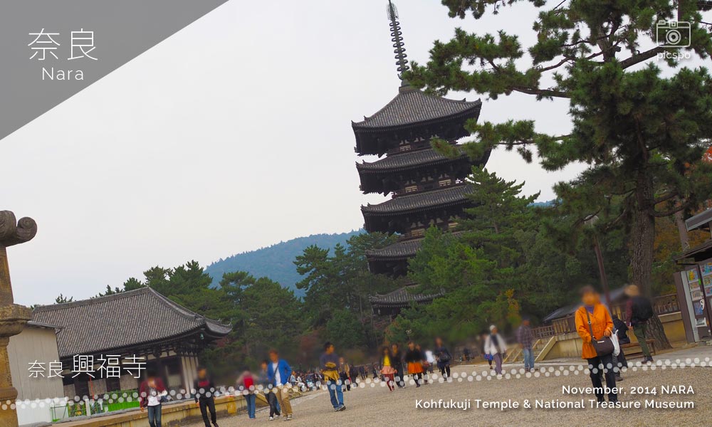 奈良 興福寺の五重塔