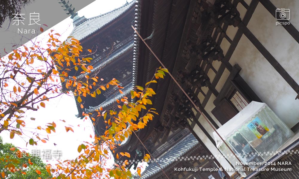 奈良 興福寺の東金堂
