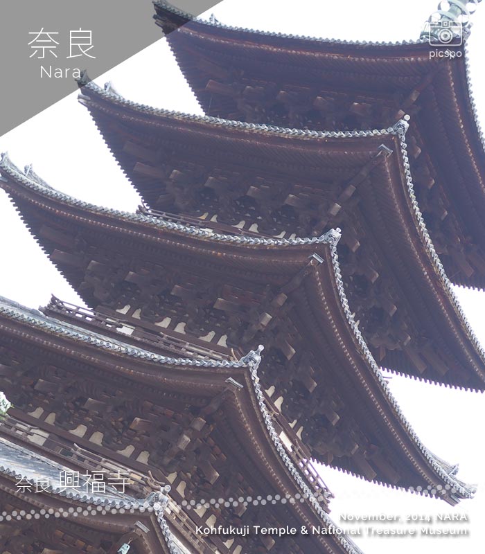 奈良 興福寺の五重塔