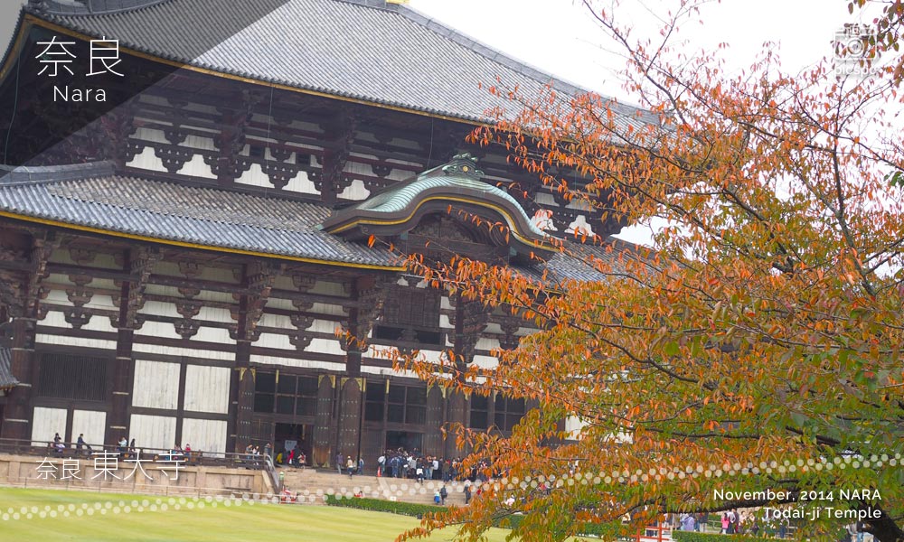 奈良 東大寺の大仏殿