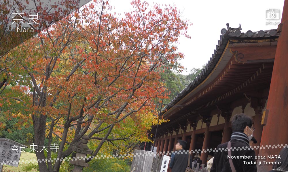 奈良 東大寺の回廊