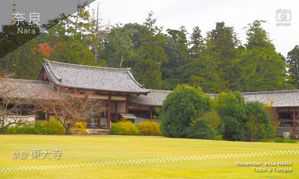 奈良 東大寺の中庭