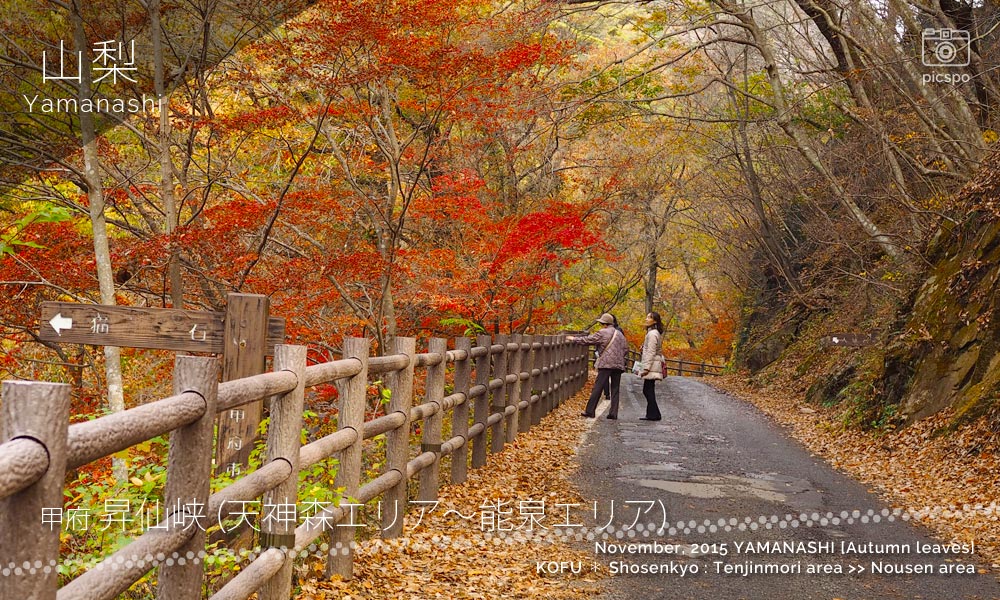 昇仙峡の紅葉：天神森エリア～能泉エリア
