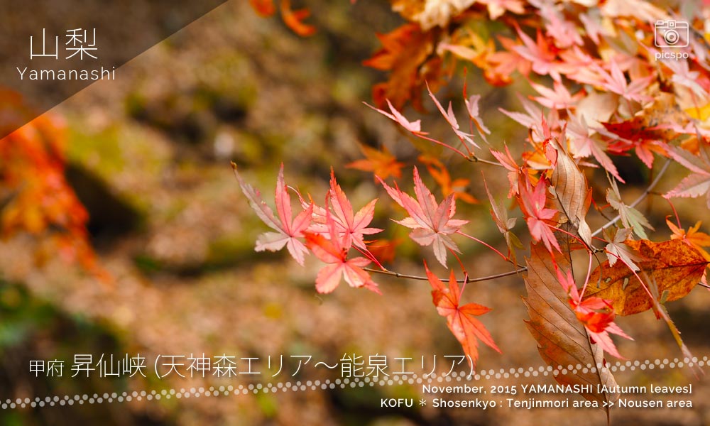 昇仙峡の紅葉：天神森エリア～能泉エリア