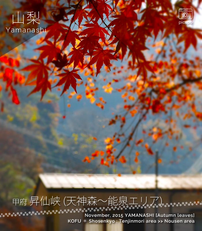 昇仙峡の紅葉
