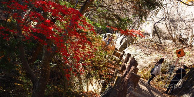 昇仙峡の紅葉：能泉エリア～石門～仙娥滝上