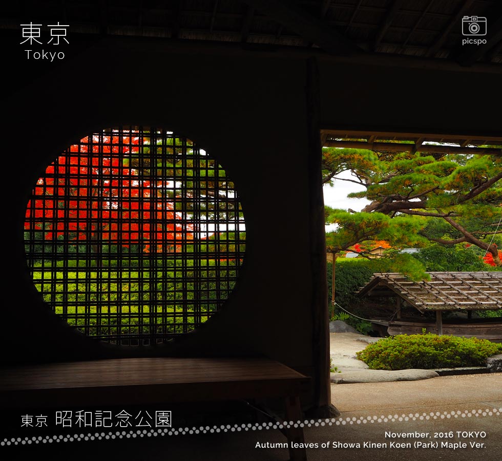 昭和記念公園の紅葉狩りは日本庭園から！