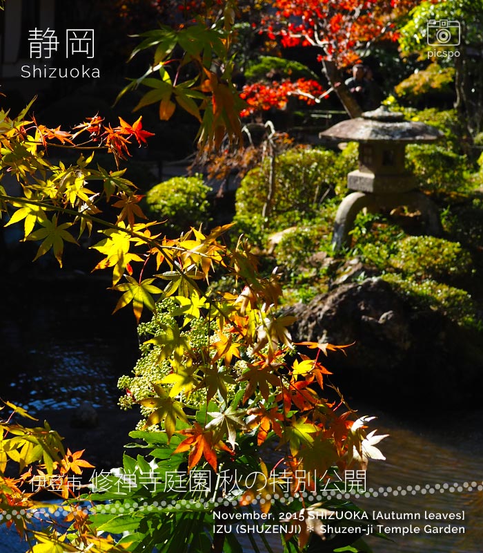 修禅寺庭園 秋の特別公開