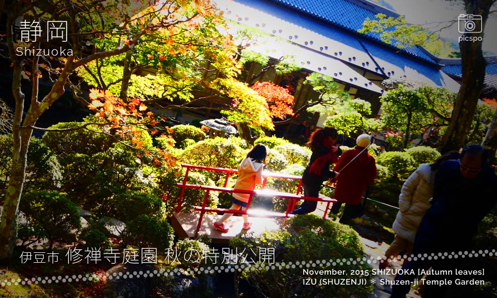 修禅寺庭園 秋の特別公開