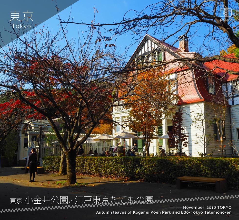 小金井公園と江戸東京たてもの園：デ･ラランデ邸