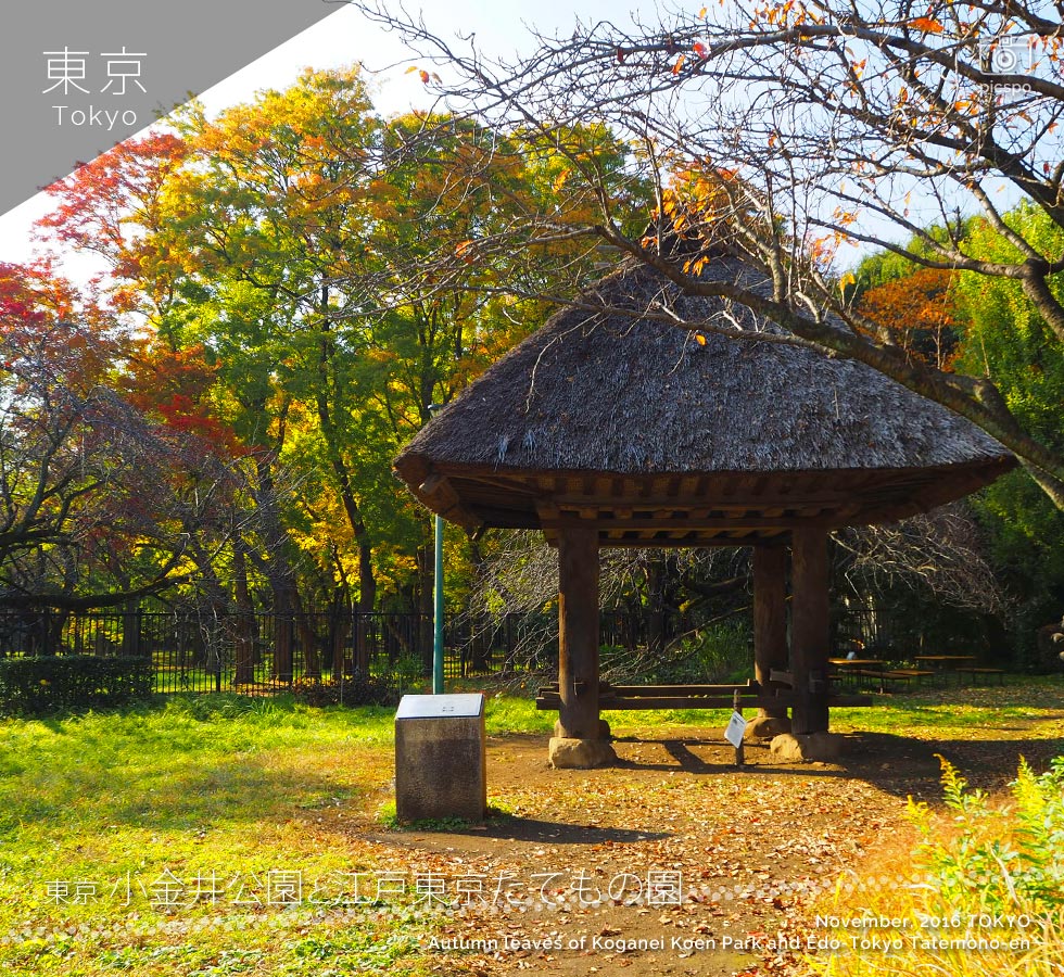 江戸東京たてもの園：奄美の高倉