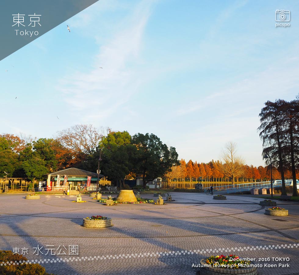 水元公園の紅葉：噴水広場