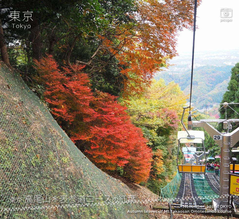Mt.Takao : Autumn leaves of the Omotesando course