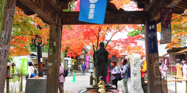 Japan Tokyo : Autumn leaves of Takaosan Yakuoin Temple