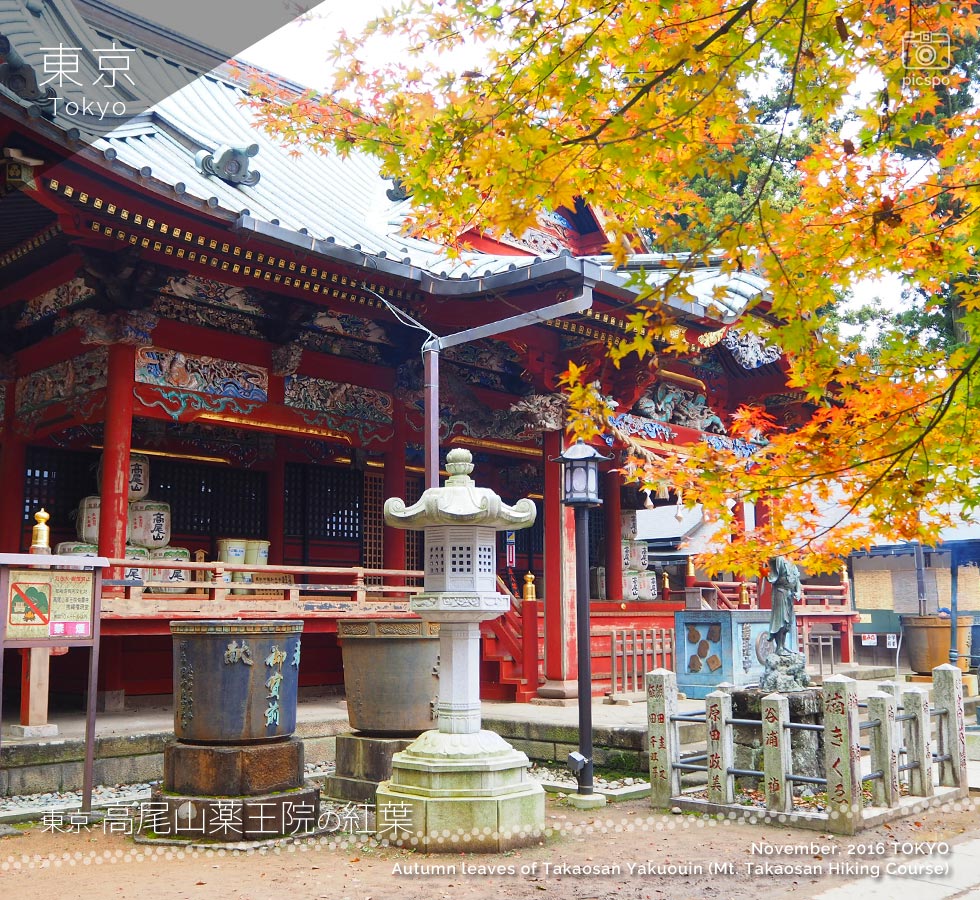 境内の建物と紅葉の共演が美しい！高尾山薬王院