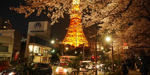 Japan Tokyo [MINATO-KU] Tokyo Tower and cherry blossoms at night