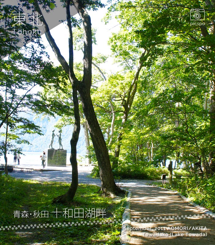 十和田湖畔の散策路