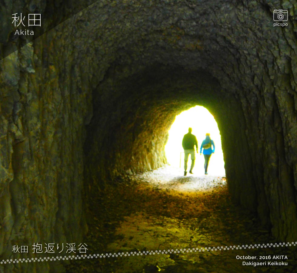秋田 抱返り渓谷のトンネル