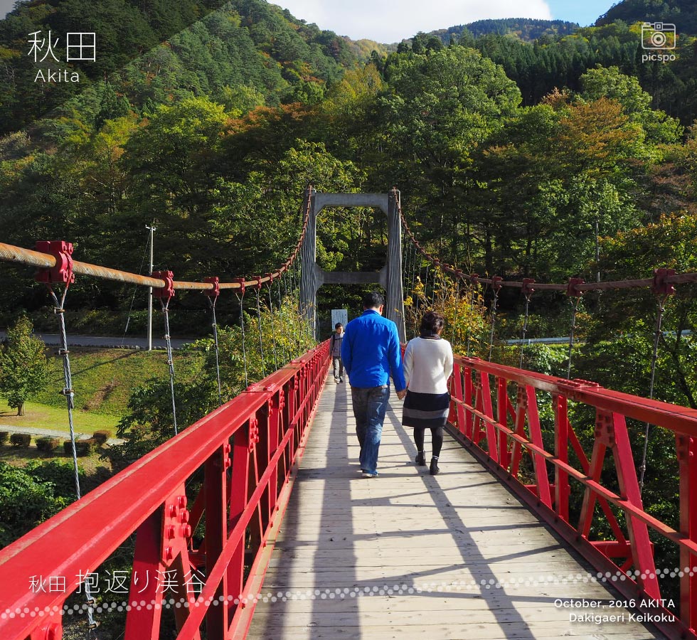 秋田 抱返り渓谷の神の岩橋