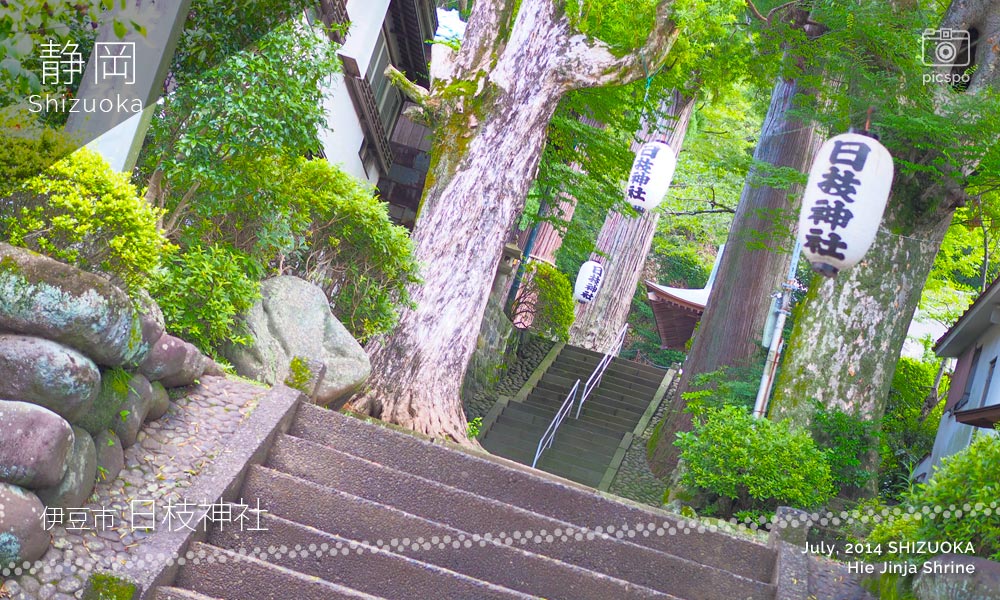 日枝神社（修善寺）の参道
