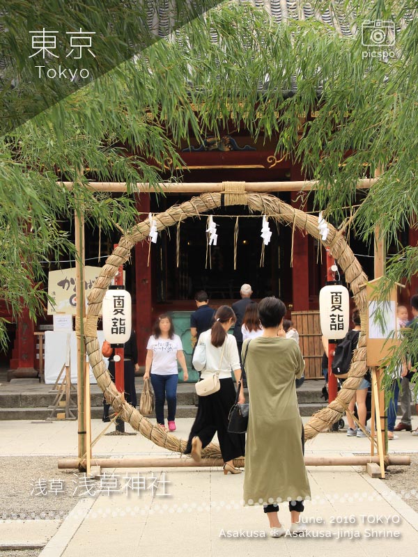 아사쿠사 진자 (浅草神社) : 치노와쿠구리 (茅の輪くぐり)