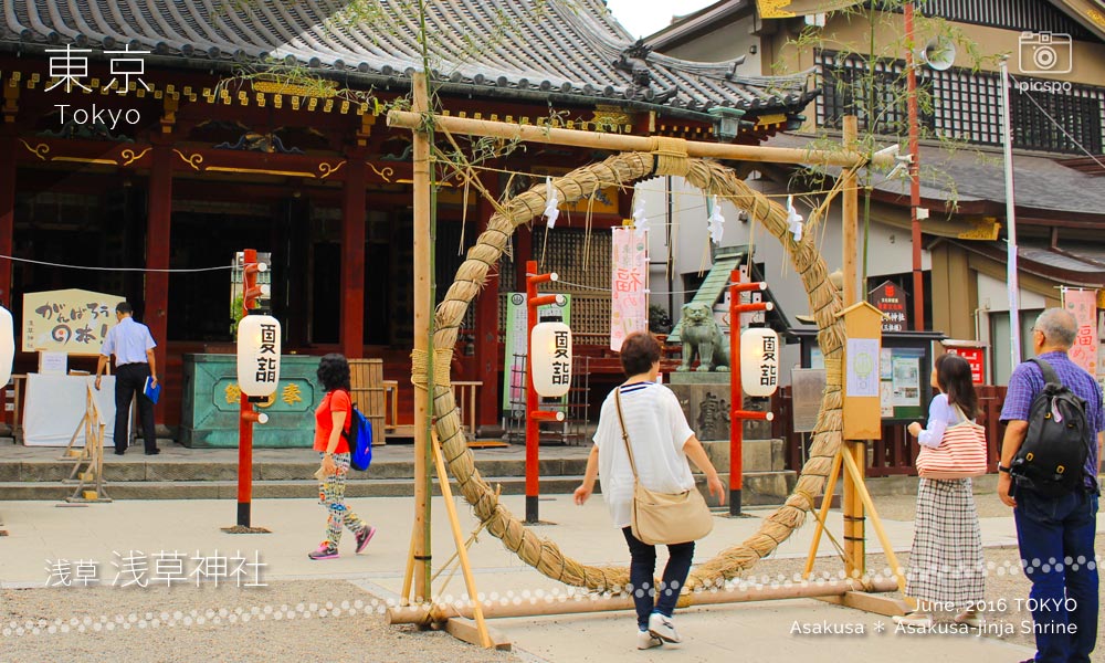 아사쿠사 진자 (浅草神社) : 치노와쿠구리 (茅の輪くぐり)