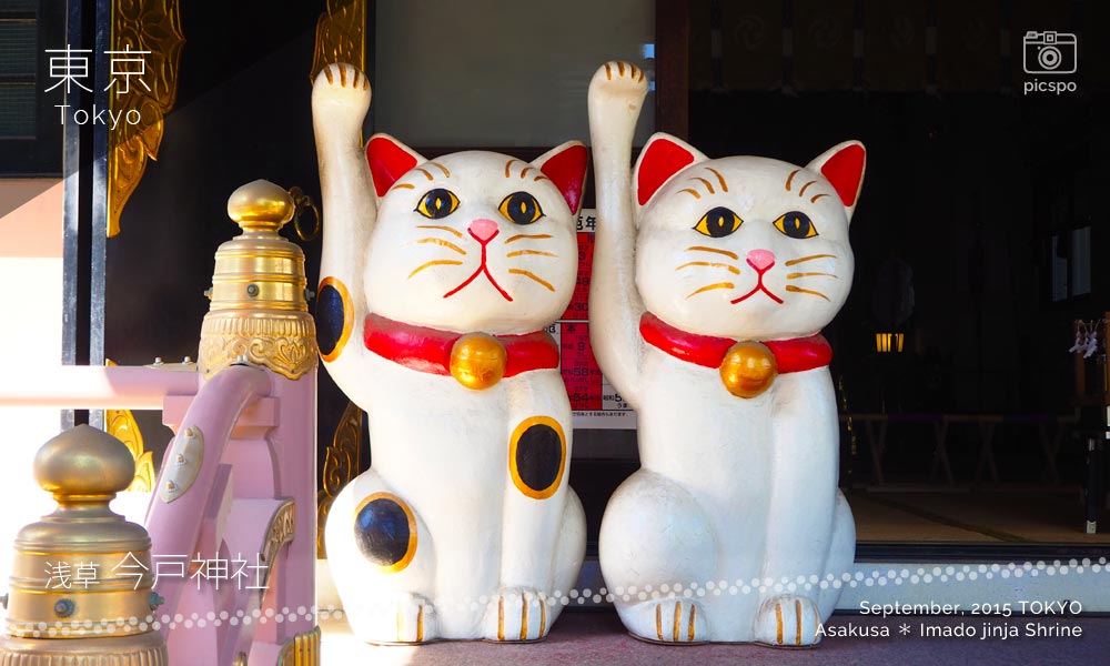 今戸神社の夫婦招き猫